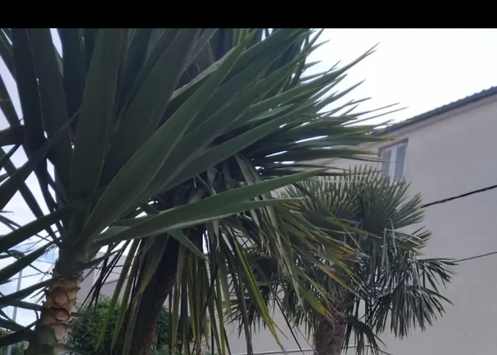 Marija - Five Bedroom With Terrace And Swimming Pool Podstrana