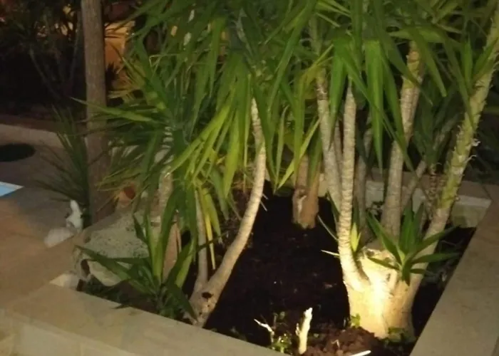 Marija - Five Bedroom With Terrace And Swimming Pool *